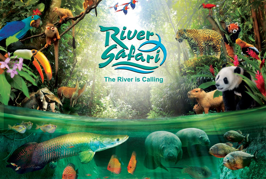 river-safari